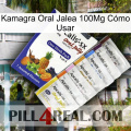 Kamagra Oral Jalea 100Mg Cómo Usar 11